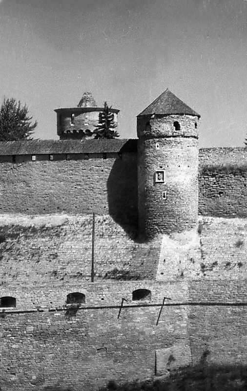 1996 р. Башти Лянцкоронська, Ковпак та…