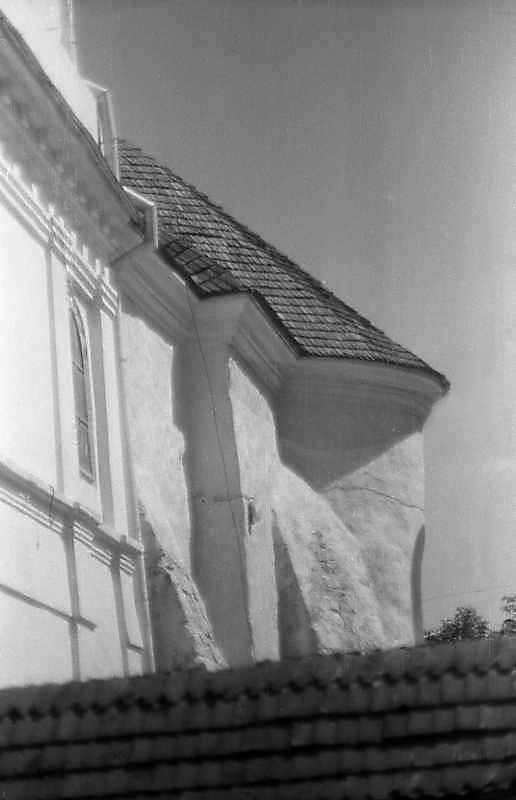 Південна конха