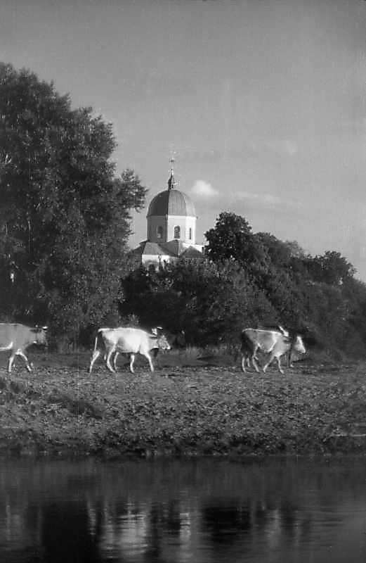 1997 р. Вигляд з Дністра (3)