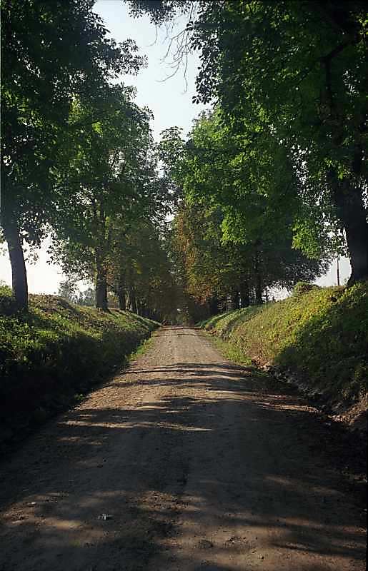 2000 р. Під’їзна алея парку