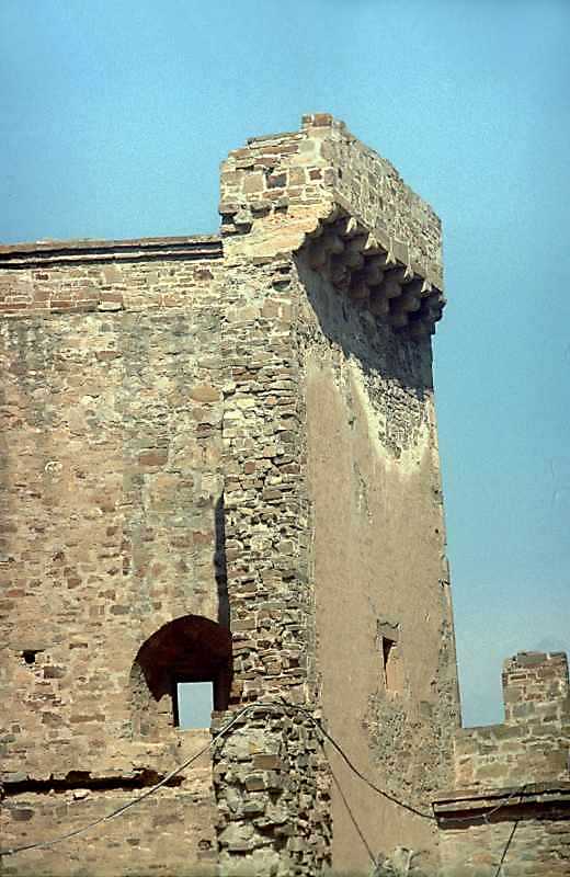 2001 р. Верхній ярус. Вигляд з півдня