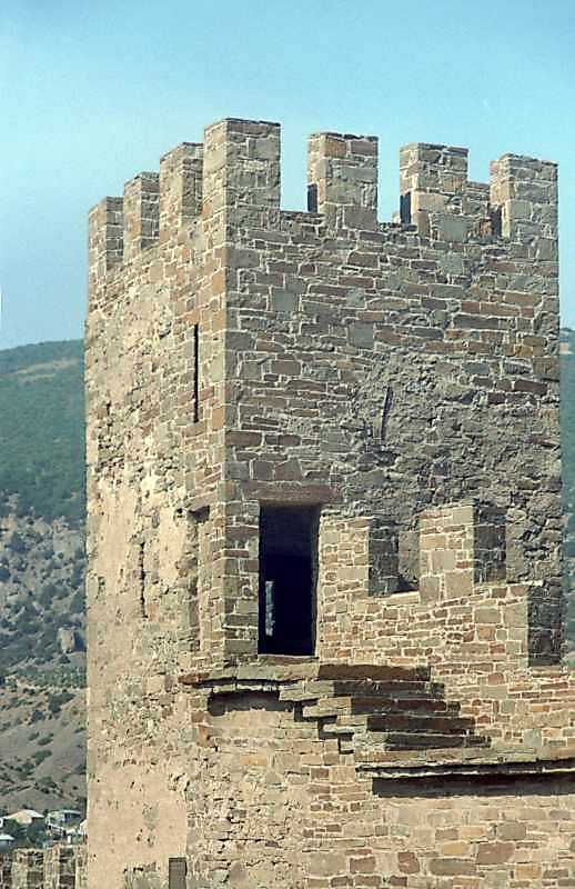 Верхні яруси