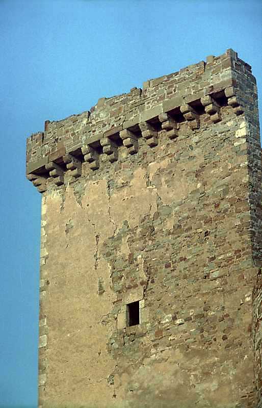 Верхні яруси