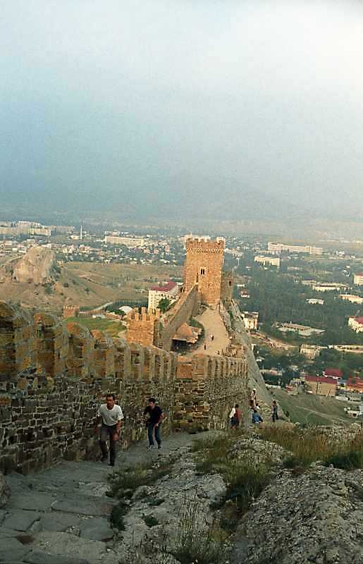 Зображення верхнього ярусу в цілому