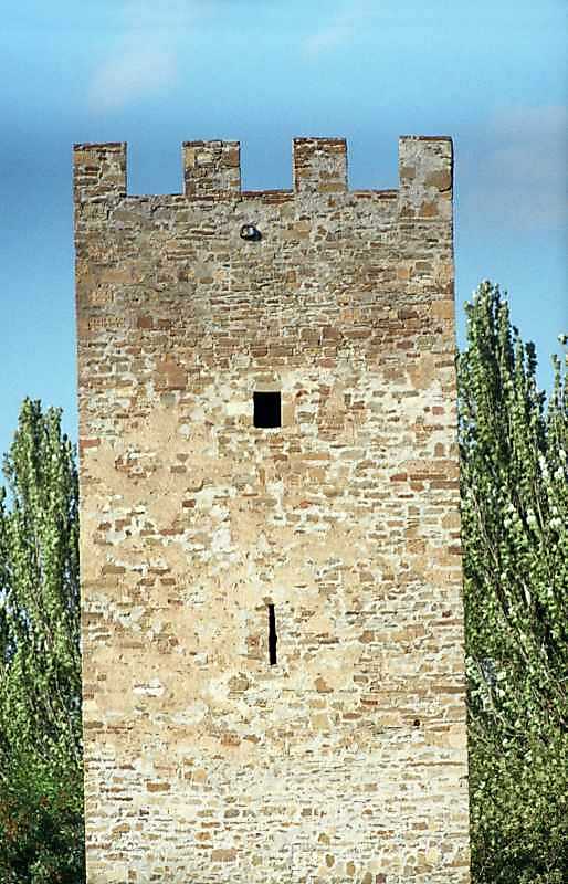 2002 р. Верхні яруси. Вигляд з півдня