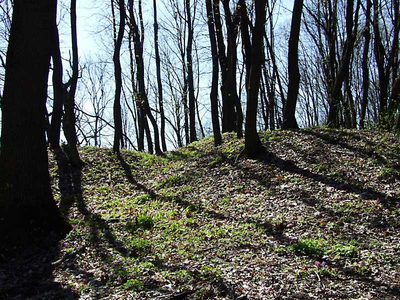 2011 р. Фрагмент курганного могильника