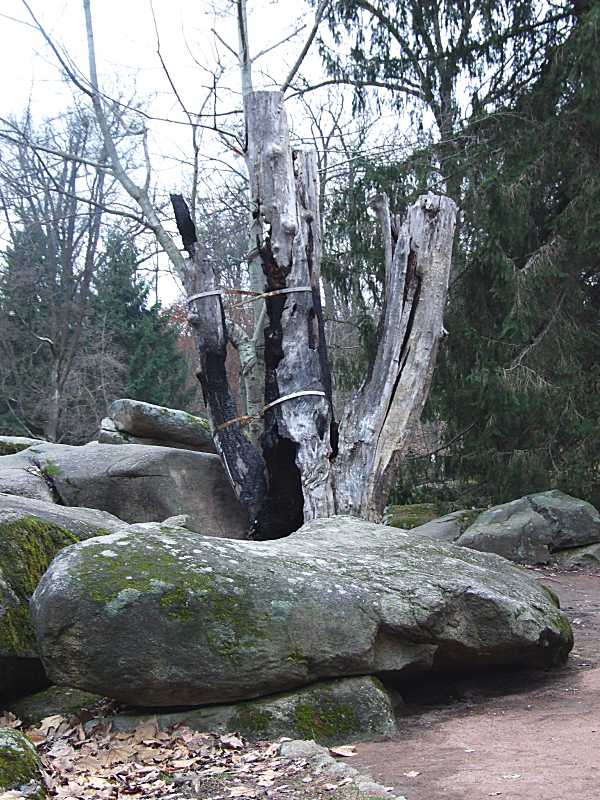 2015 р. Загальний вигляд