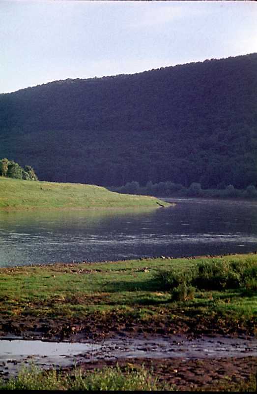 1988 р. Вид на Дністер