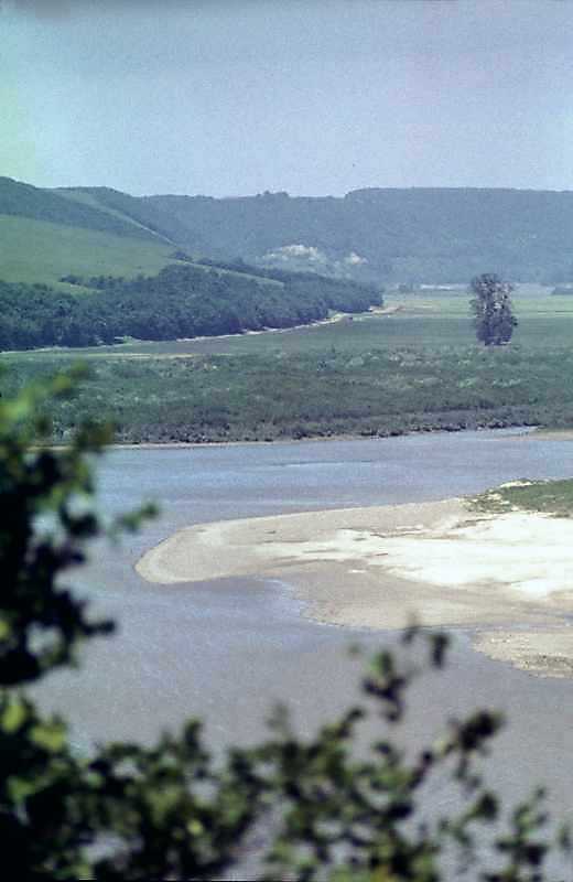 Заплава Дністра