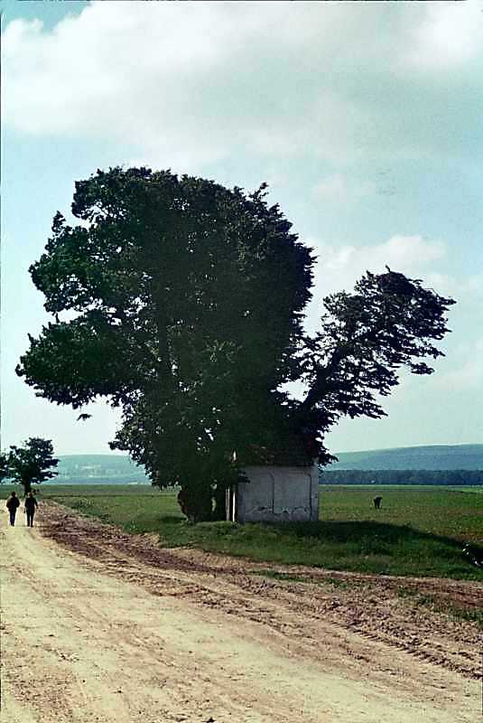 1988 р. Загальний вигляд