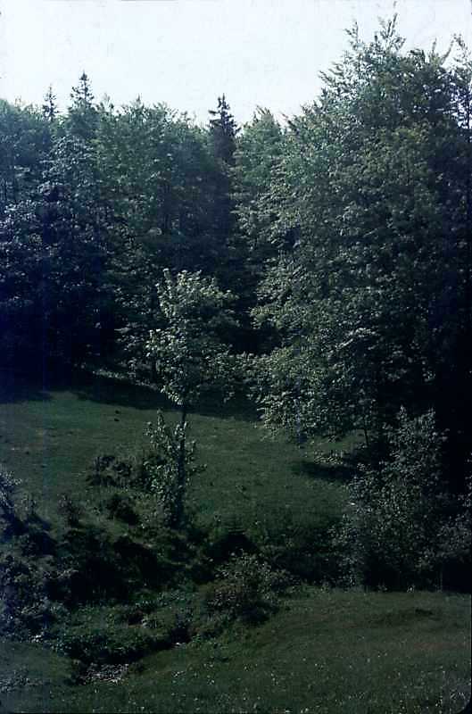 1900 р. Виток ріки Стрий біля…