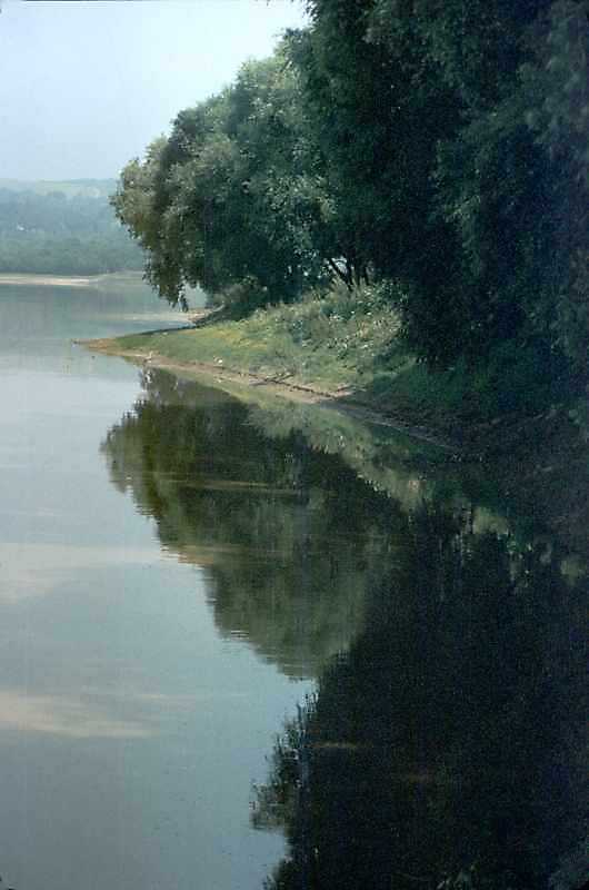 1991 р. Берег Дністра у с. Вільховець