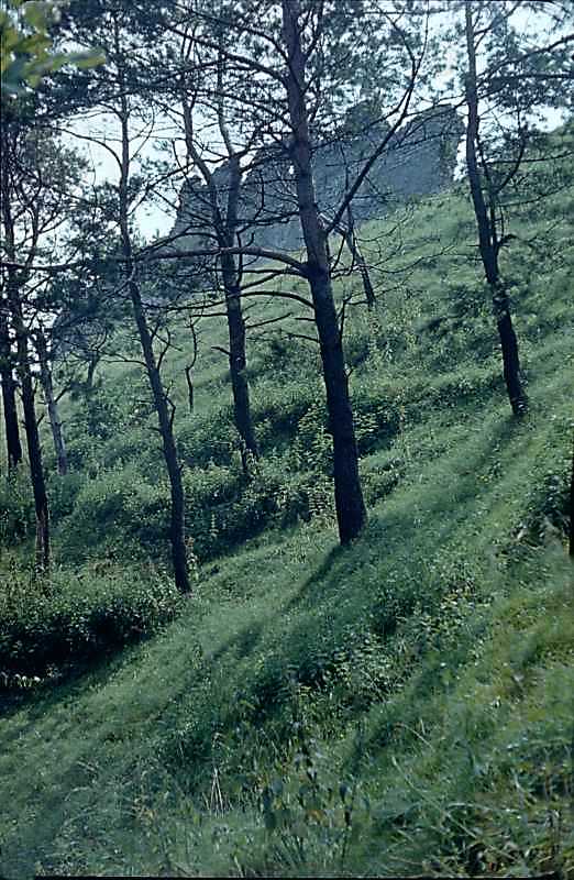 1977 р. Західний схил Замкової гори