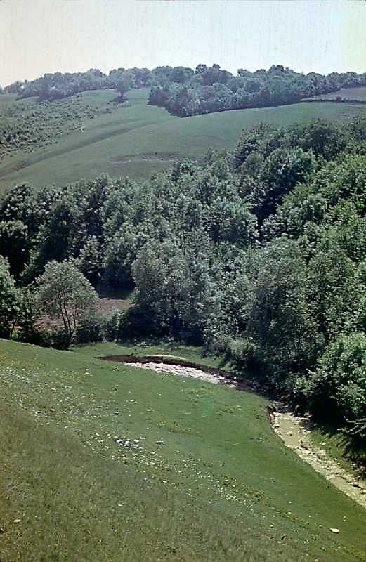 1978 р. Яр і струмок на захід від…