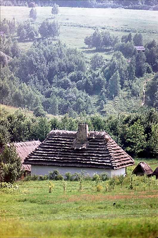 1984 р. Загальний вигляд з тильного…