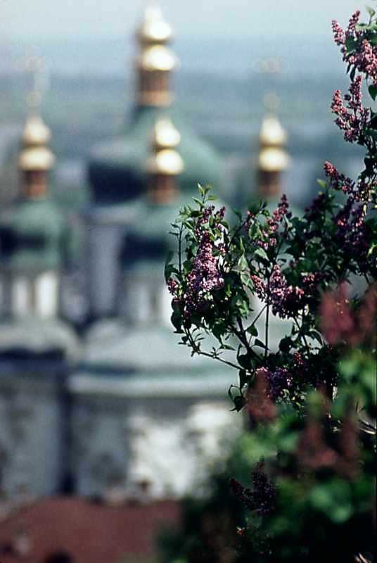1978 р. Квіти бузку на тлі собору