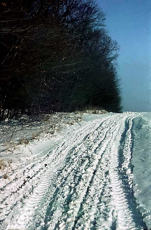 1977 р. Засніжена дорога на узліссі.