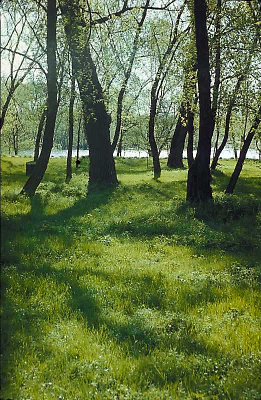 1978 р. Краєвид у Гідропарку