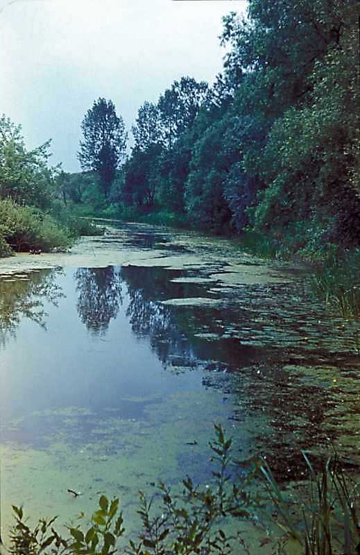 1977 р. Вид на р.Стир