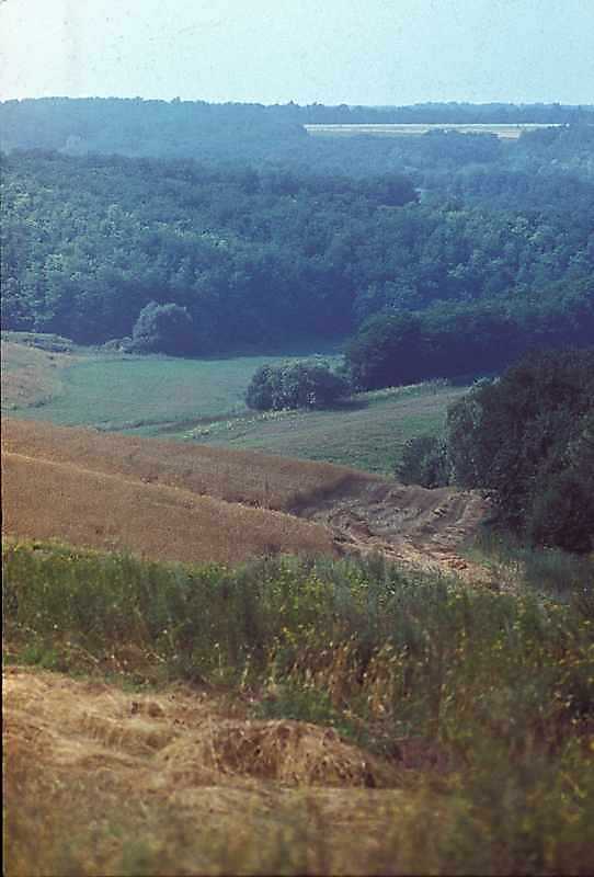 1985 р. Краєвид по дорозі від Тулинець…