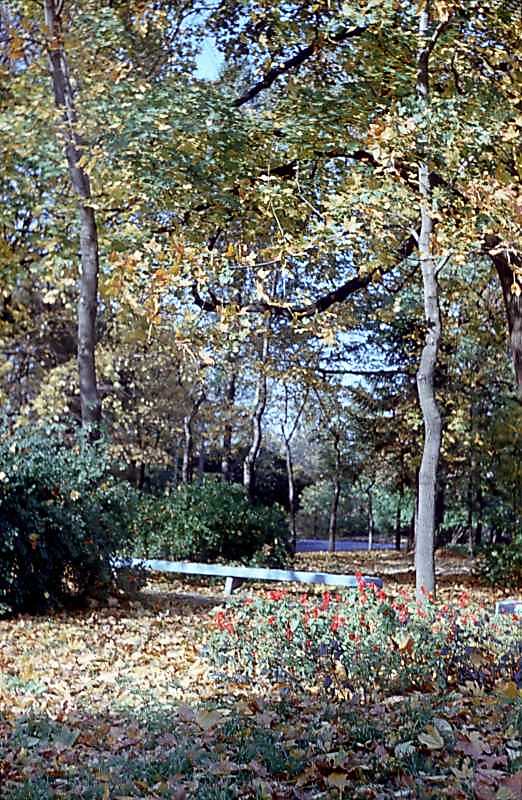 1978 р. Вид парку