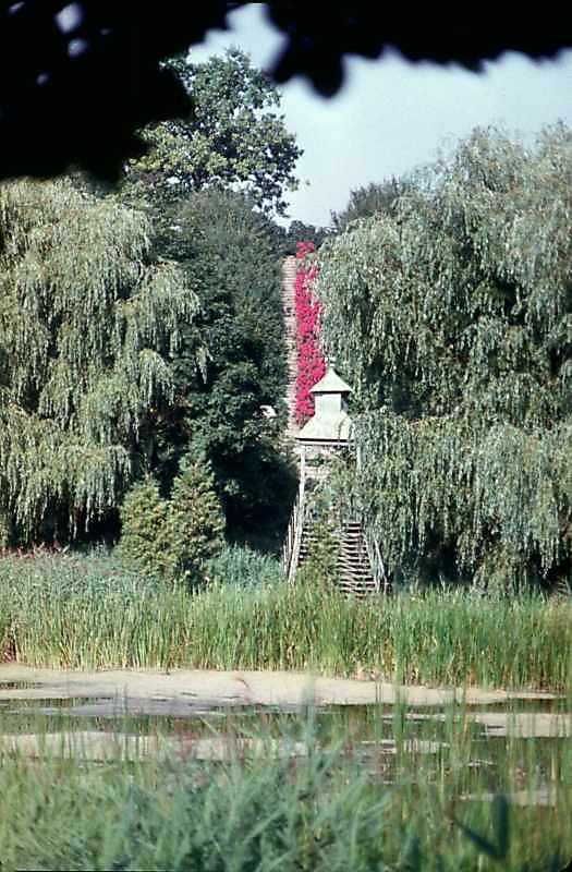 1988 р. Місток у парку