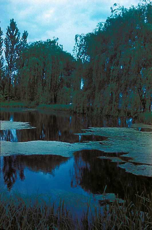 1977 р. Ставок