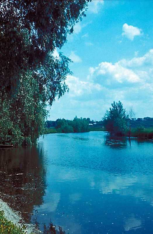 1977 р. Вид на ріку Трубіж